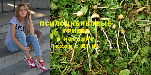 гидра Лиски